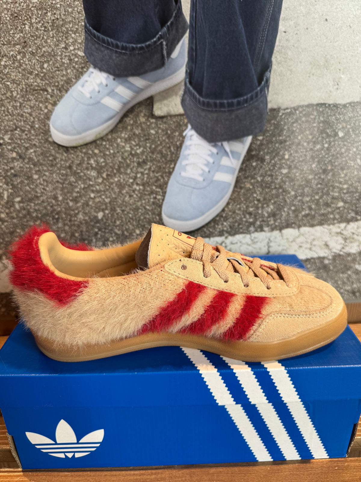 Adidas Gazelle Indoor "Beige Red Gum"